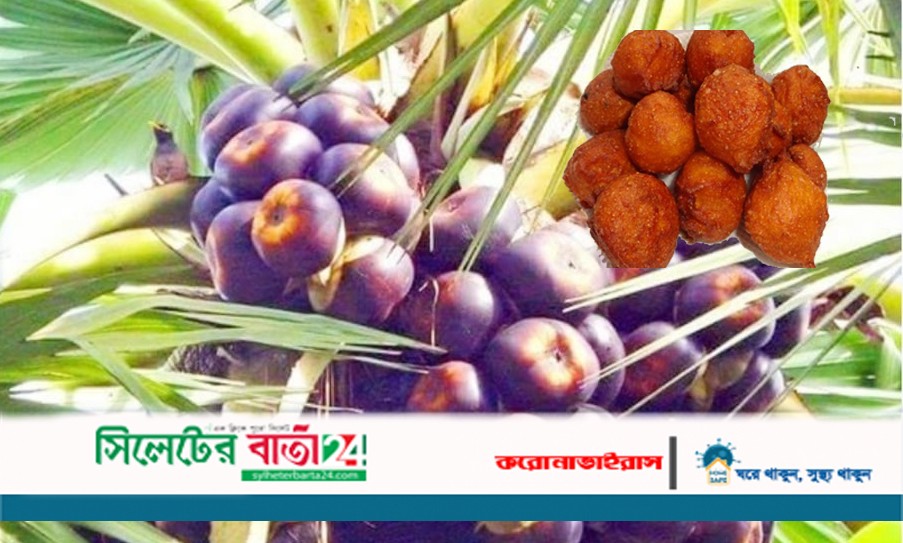 গাছে গাছে পাকা তাল, ঘরে ঘরে পিঠার উৎসব