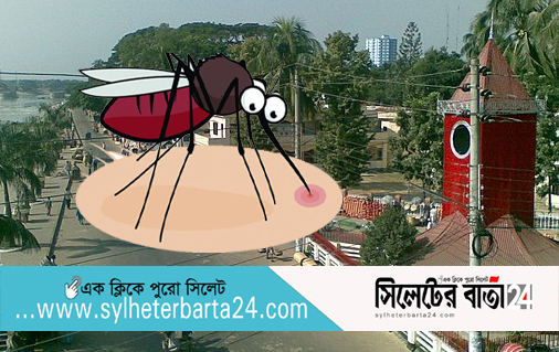 করোনার টিকা শেষ হলে মশা মারবে সিসিক
