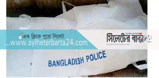 টুলটিকরে ছেলের হাতে মা খুন