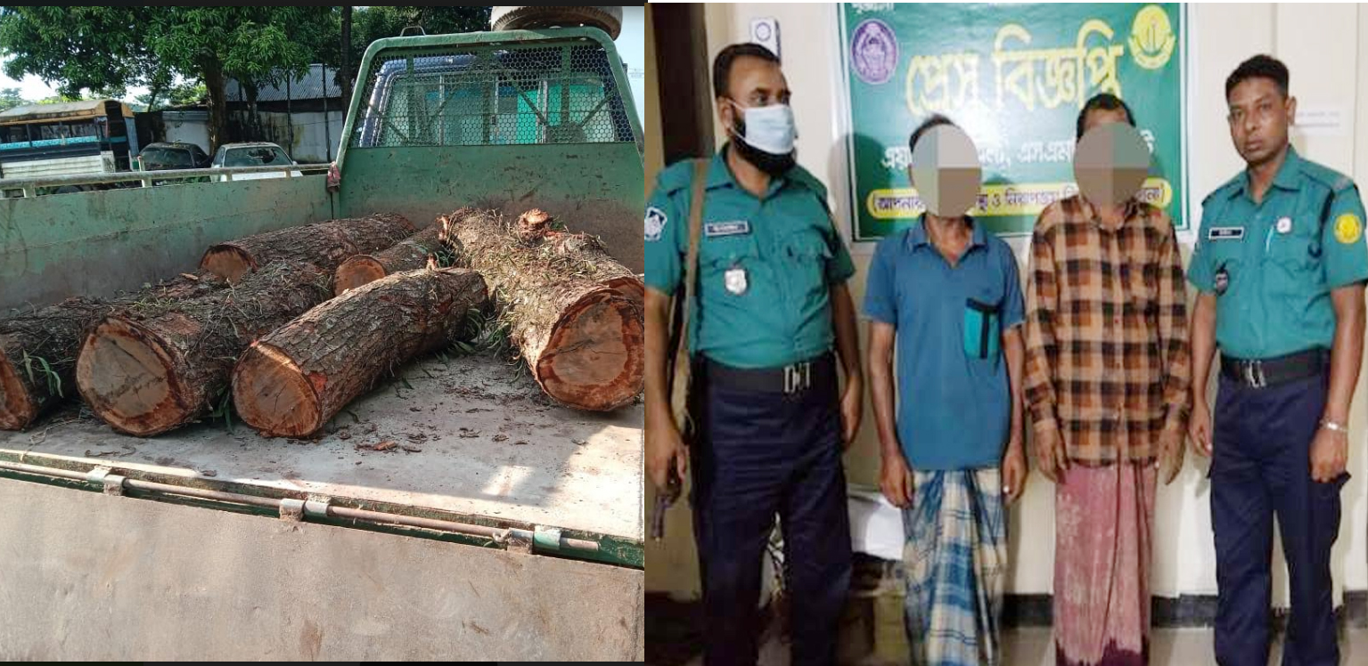 সিলেটে পিকআপভর্তি গাছসহ আটক ২