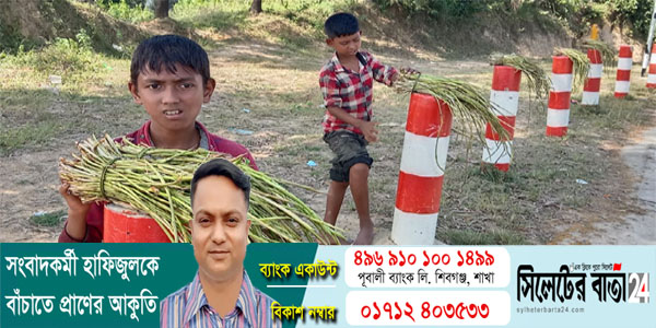 লতা বিক্রি করে চলে তাদের পরিবারে