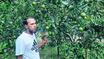 মাল্টা চাষে বড়লেখার জাকিরের বাজিমাত