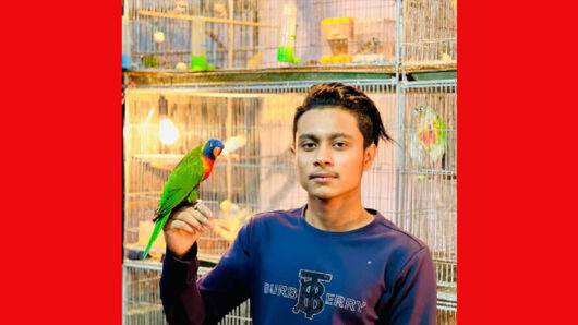 শখ আর ভালবাসা থেকে ‘শিশির’ এখন পাখি খামারি