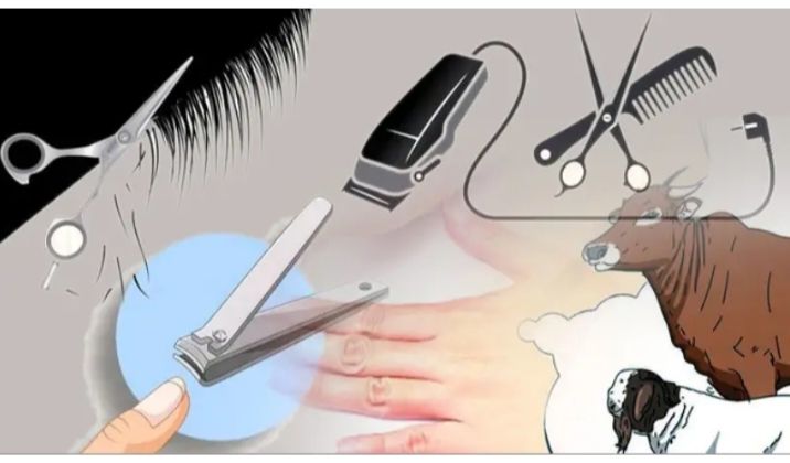 কুরবানীর আগে নখ চুল না কাটা