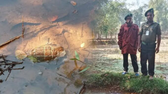 বাড়ির পাশ থেকে পরিত্যক্ত গ্রেনেড উদ্ধার