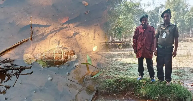 বাড়ির পাশ থেকে পরিত্যক্ত গ্রেনেড উদ্ধার