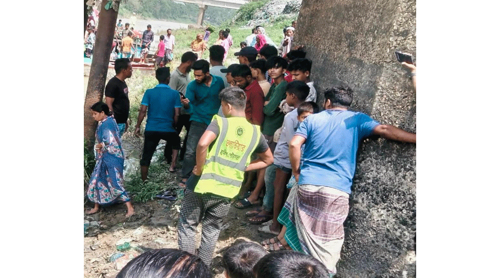 ব্রিজ থেকে পড়ে বৃদ্ধার এবং গাছের ডাল পড়ে বৃদ্ধের মৃত্যু