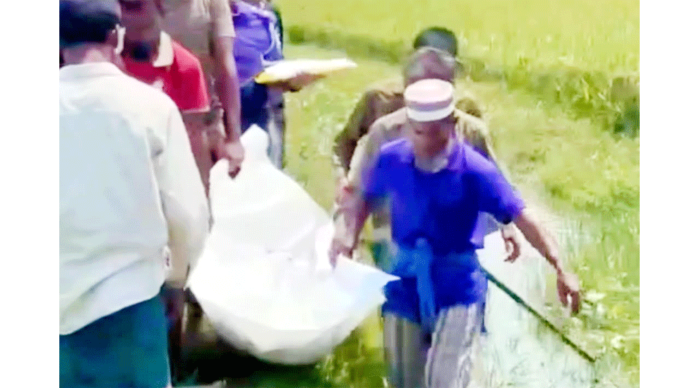 হবিগঞ্জে হাওর থেকে যুবকের লাশ উদ্ধার