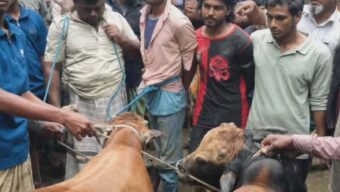 বালাগঞ্জে পিকআপে করে চোরাই গরু নেওয়ার সময় জনতার হাতে আটক ৪