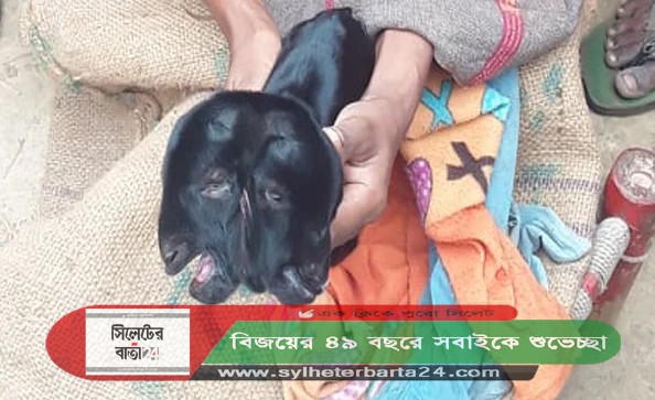 ২ মাথা ওয়ালা ছাগল!