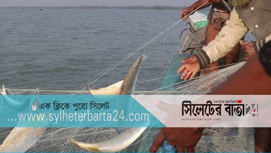 ইলিশ ধরার অপরাধে ১৩১ জেলের জেল-জরিমানা