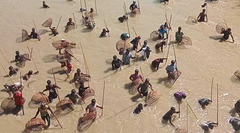 ধলাইর বুকে ‘পলো বাওয়া’ উৎসবে মাতোয়ারা প্রাণ