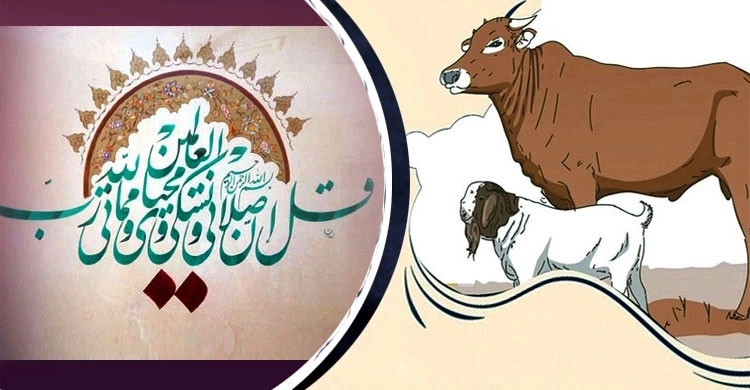 ঈদুল আযহা-কোরবানী ও আমাদের করণীয়