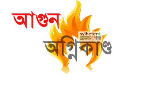 ময়মনসিংহ মেডিকেলে আগুন, পদদলিত হয়ে ৬ জন নিহত