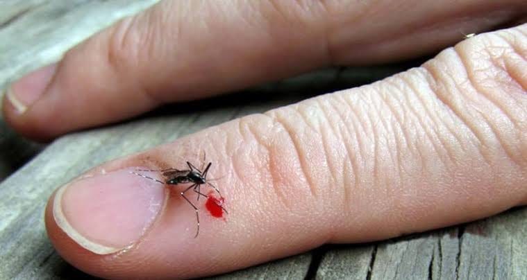 মশার রক্ত লেগে থাকলে কি নামায হয়?