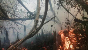 সুন্দরবনে ২২ বছরে ২৫ বার অগ্নিকাণ্ড