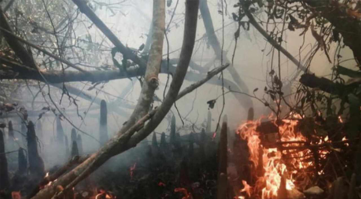 সুন্দরবনে ২২ বছরে ২৫ বার অগ্নিকাণ্ড