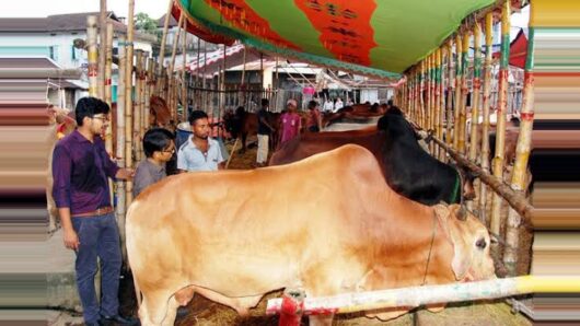 সিলেটে কমেছে পশুর হাট, সিসিক’র ভূমিকা নিয়ে প্রশ্ন