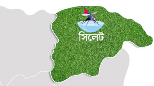 সিলেটে ডেঙ্গুর প্রকোপ অব্যাহত, ৯ জনের শরীরে শনাক্ত
