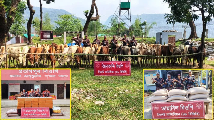 তামাবিল সীমান্ত থেকে জব্দ কোটি টাকার চোলাচালানি পণ্য