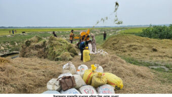 জ্বালানি সংকটে ধান মাড়াইয়ে ব্যাঘাত