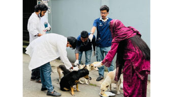 সিলেটে পথকুকুরদের জলাতঙ্ক প্রতিরোধী টিকাদান ও খাবার বিতরণ সম্পন্ন