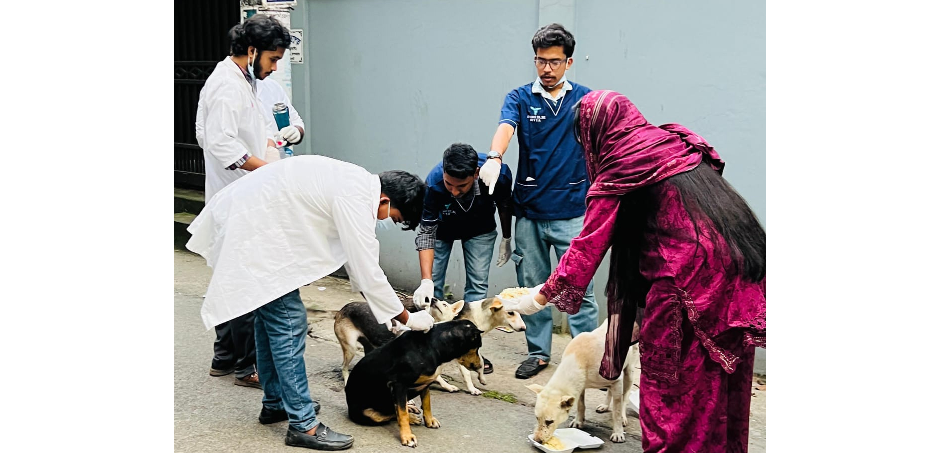 সিলেটে পথকুকুরদের জলাতঙ্ক প্রতিরোধী টিকাদান ও খাবার বিতরণ সম্পন্ন