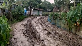 নবীগঞ্জের শেরপুর গ্রামের রাস্তার বেহাল দশায় হাজার মানুষের দুর্ভোগ