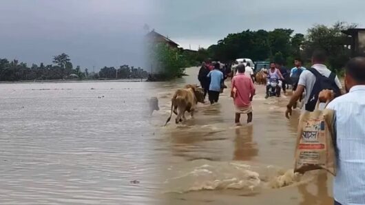 সুনামগঞ্জে বাড়ছে নদ-নদীর পানি, বন্যার শঙ্কা
