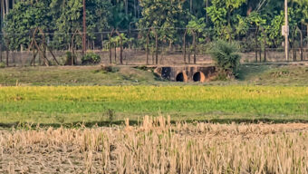 জকিগঞ্জ সীমান্তে বিএসএফের গুলিতে যুবক নিহতের দাবি