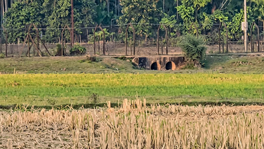 জকিগঞ্জ সীমান্তে বিএসএফের গুলিতে যুবক নিহতের দাবি