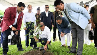 শিশুদের প্রতিবছর গাছ লাগাতে বললেন প্রধানমন্ত্রী