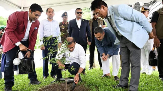 শিশুদের প্রতিবছর গাছ লাগাতে বললেন প্রধানমন্ত্রী
