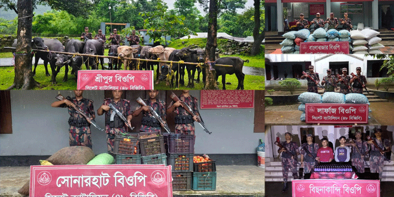 সিলেট সীমান্তে বিজিবির অভিযান: ৬৪ লাখ টাকার পণ্য জব্দ, আটক ২