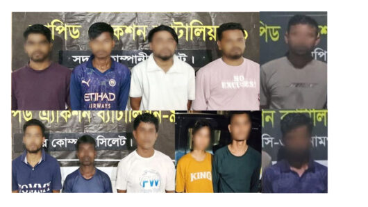 সিলেট ও সুনামগঞ্জে র‌্যাবের সাড়াশি অভিযানে আটক ১২
