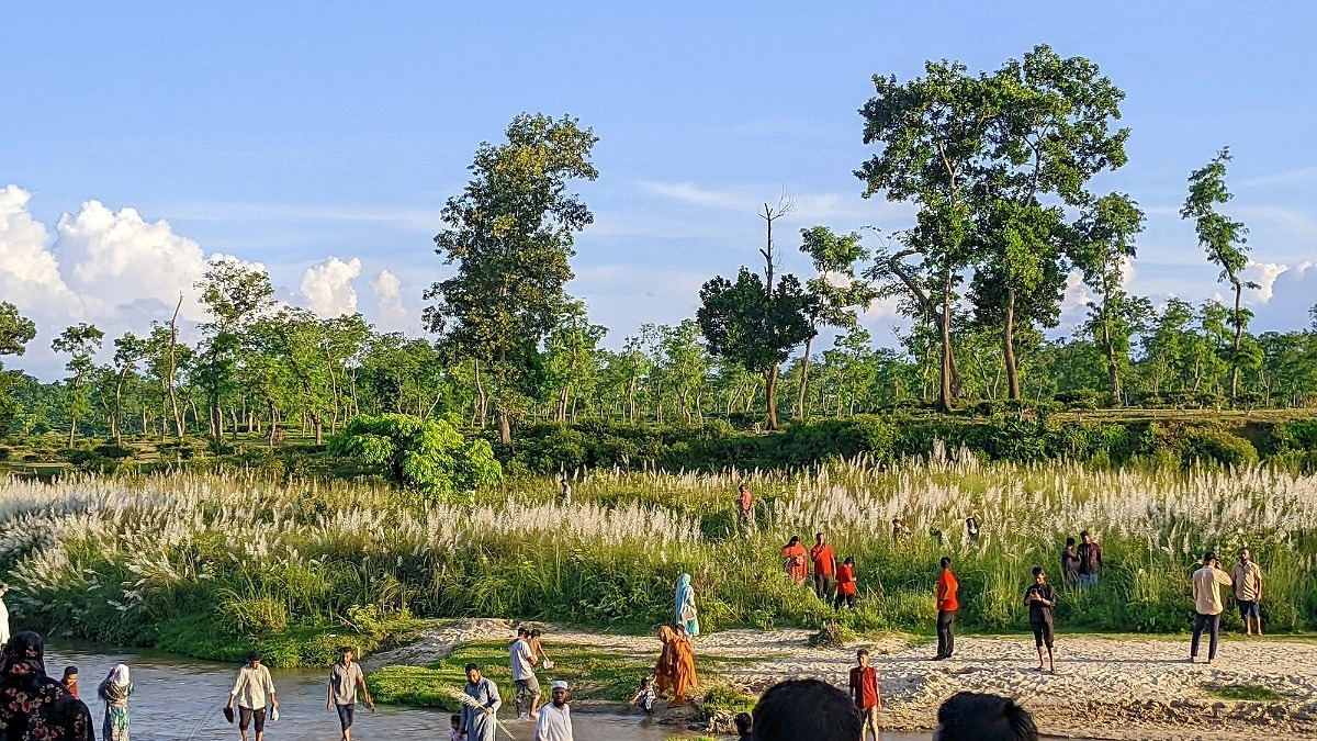 পর্যটকদের কাছে টানছে কাশবন