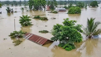 আসামে বন্যায় মৃত বেড়ে ৯৮, পানিবন্দি ১৩টি জেলা