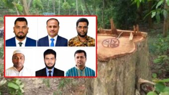 হবিগঞ্জে গাছ কাটার মামলায় বিএনপি-ছাত্রদলের ৬২ জনের বিরুদ্ধে মামলা
