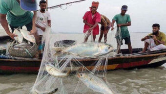 ২২ দিন ইলিশ ধরা ও কেনাবেচাতে নিষেধাজ্ঞা